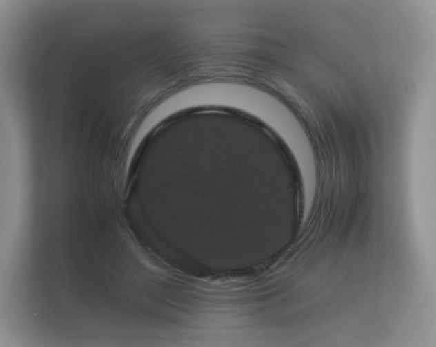 X0000112170500200908141308