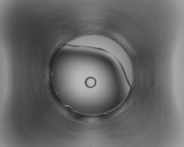 X0000112170501200908141308