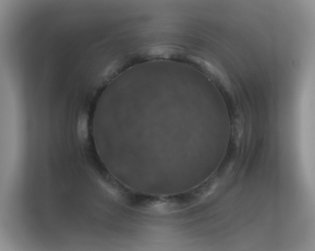 X0000112170504200908141308