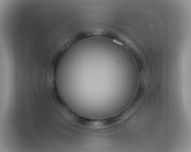 X0000112170509200908141308