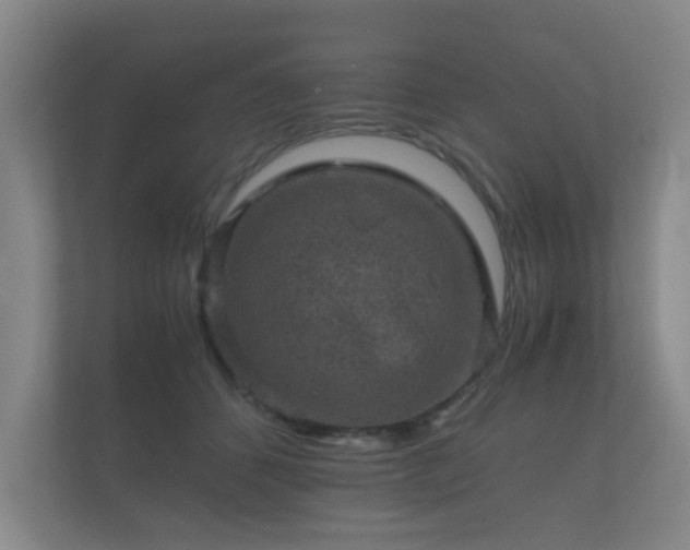 X0000112170512200908141308