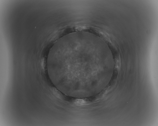 X0000112170519200908141308