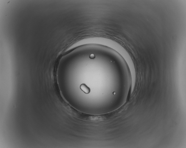 X0000112170520200908141308