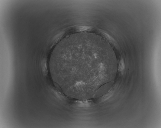 X0000112170524200908141308