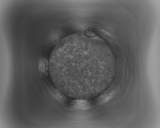 X0000112170528200908141308