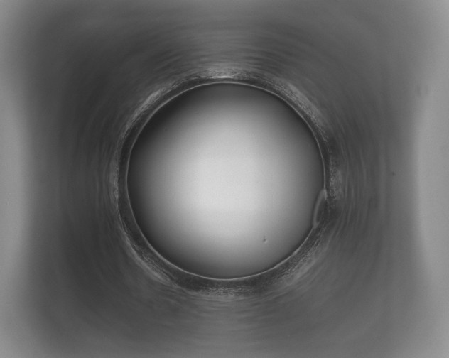 X0000112170530200908141307