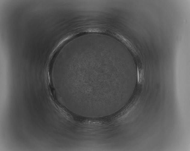 X0000112170531200908141307