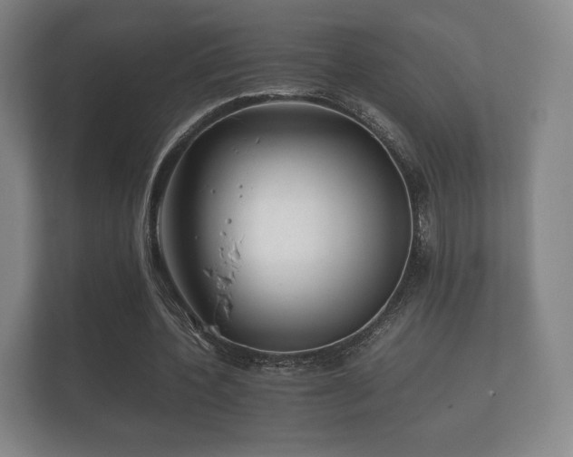 X0000112170532200908141307