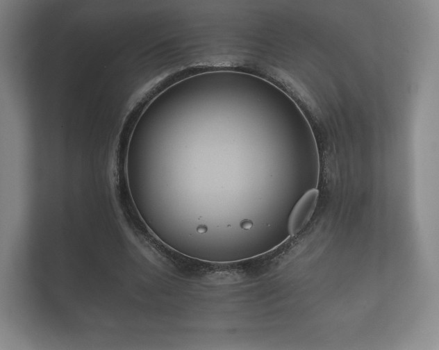 X0000112170536200908141307