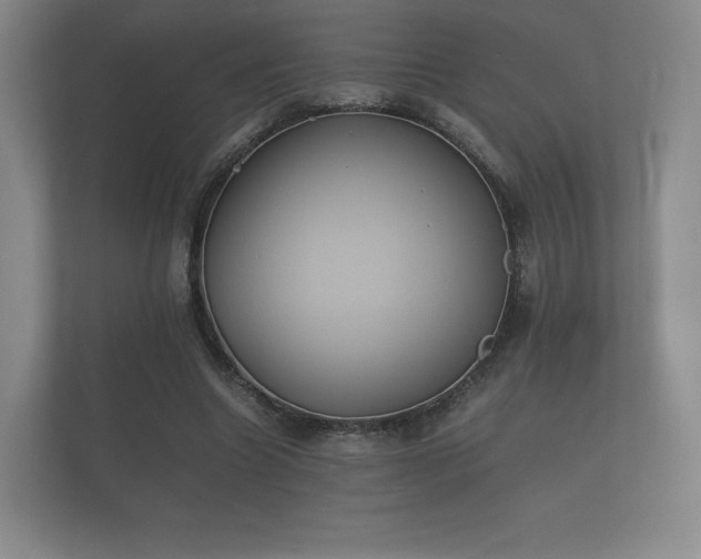 X0000112170538200908141307