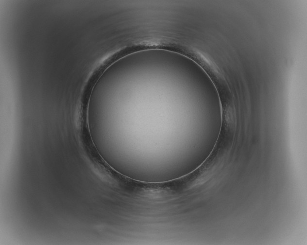 X0000112170540200908141308