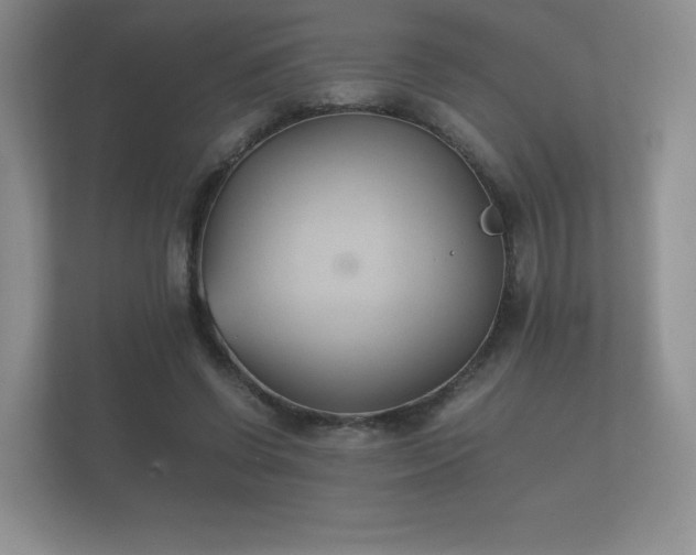 X0000112170542200908141308