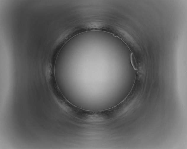 X0000112170544200908141308