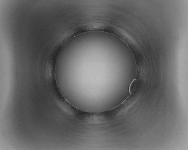 X0000112170546200908141308