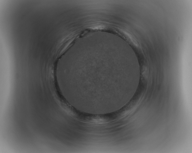 X0000112170547200908141308