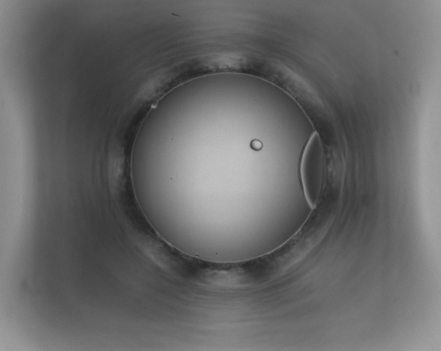 X0000112170548200908141308