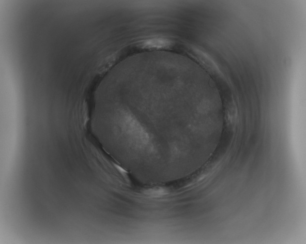 X0000112170551200908141308