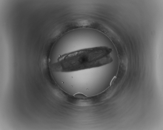 X0000112170556200908141308