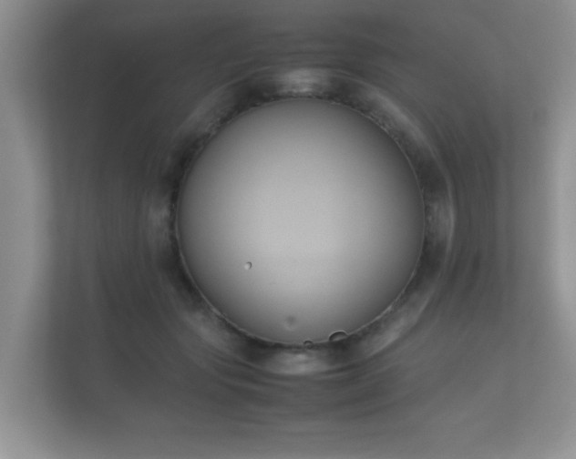 X0000112170557200908141308