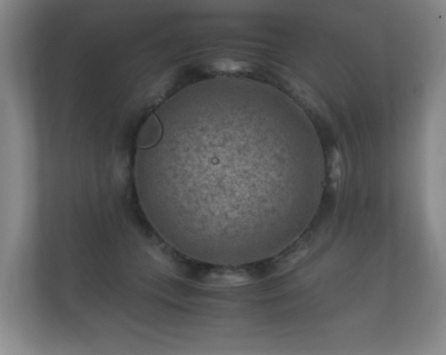 X0000112170559200908141308