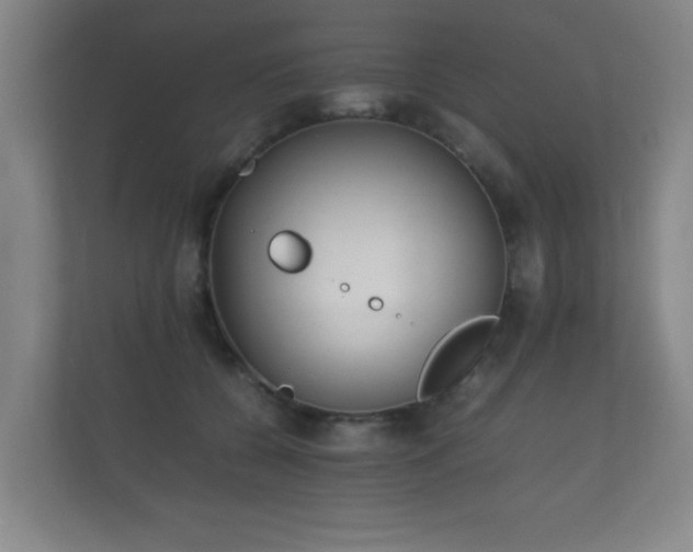 X0000112170560200908141308