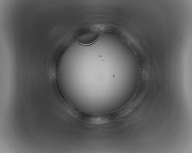 X0000112170561200908141308