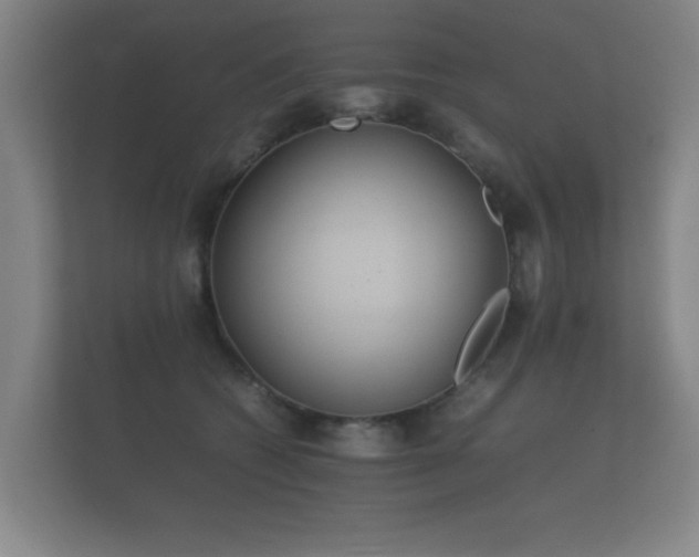 X0000112170562200908141308