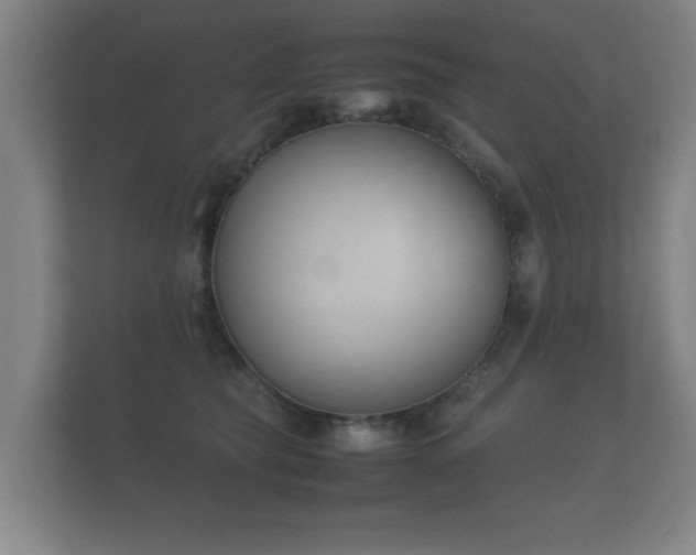 X0000112170565200908141308