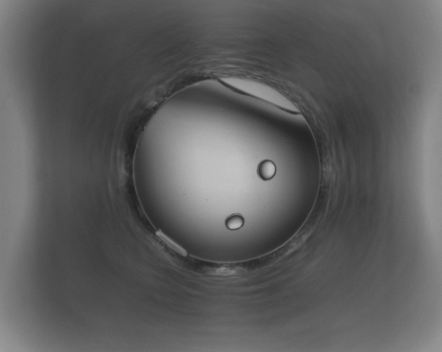 X0000112170566200908141308