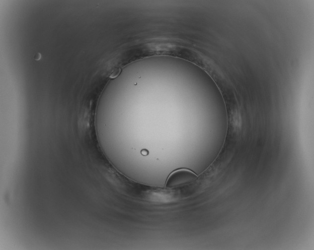 X0000112170567200908141308