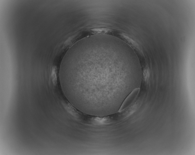 X0000112170570200908141308