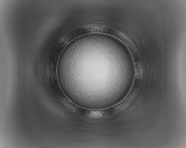 X0000112170573200908141308