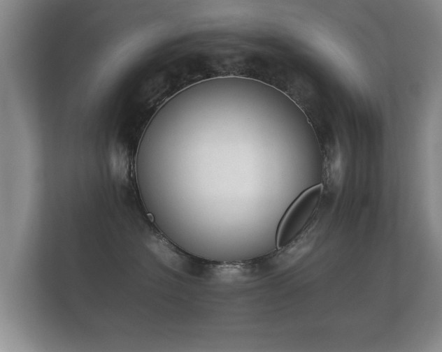 X0000112170574200908141308