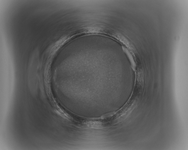 X0000112170577200908141307