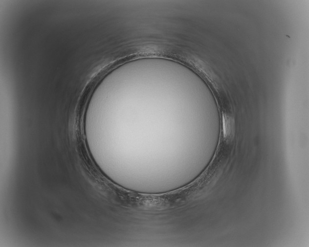 X0000112170579200908141307