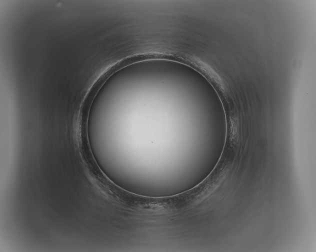 X0000112170580200908141307