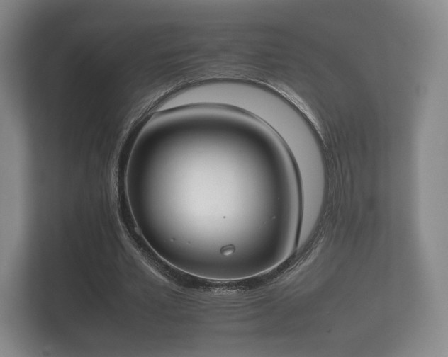 X0000112170581200908141307