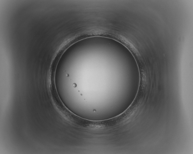 X0000112170582200908141307