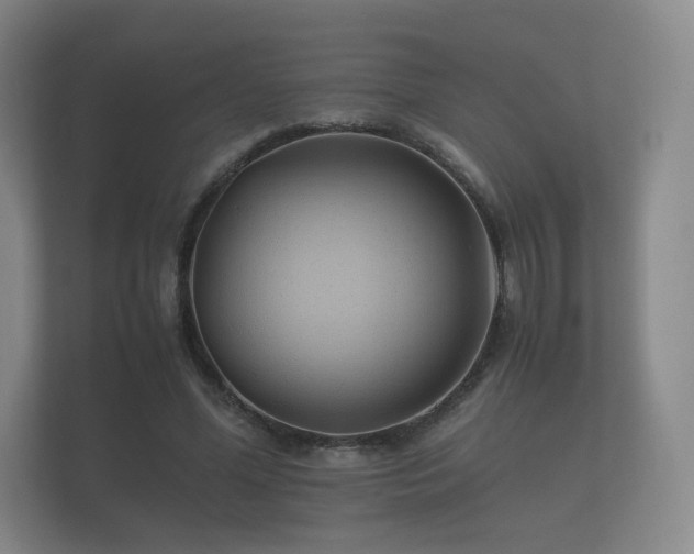 X0000112170588200908141307