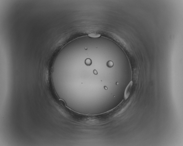 X0000112170589200908141307