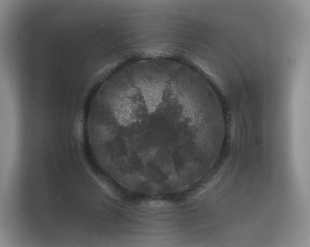 X0000112170590200908141307