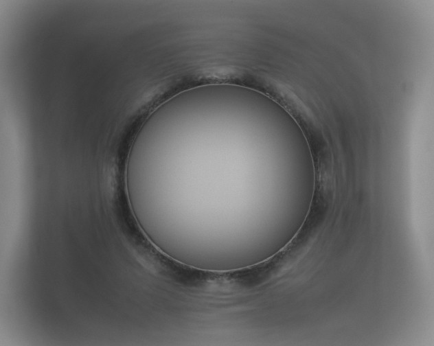 X0000112170591200908141307