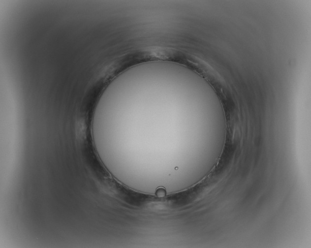 X0000112170595200908141307