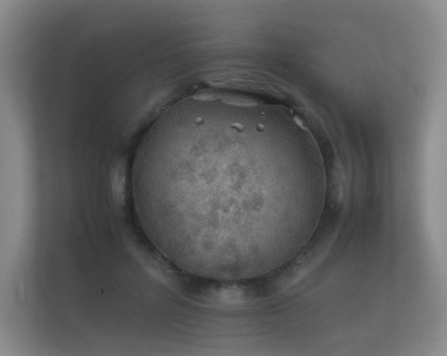 X0000112170600200908141307