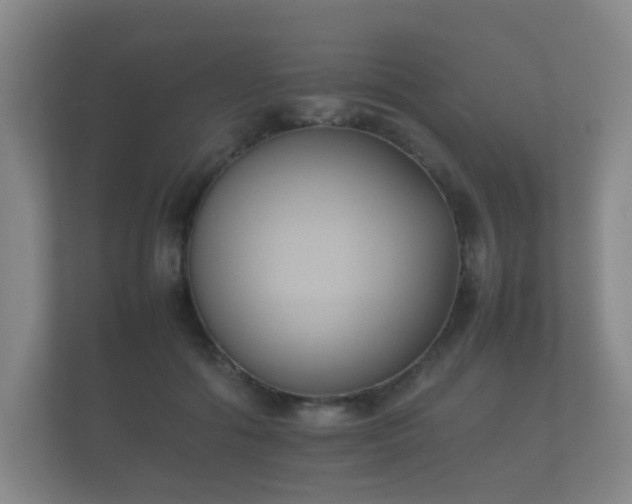 X0000112170602200908141307