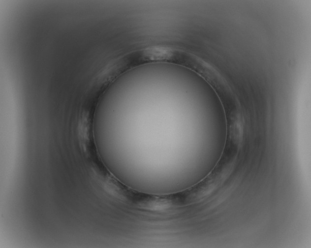 X0000112170604200908141307