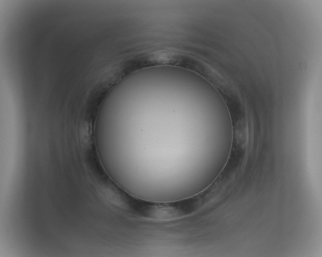 X0000112170605200908141307