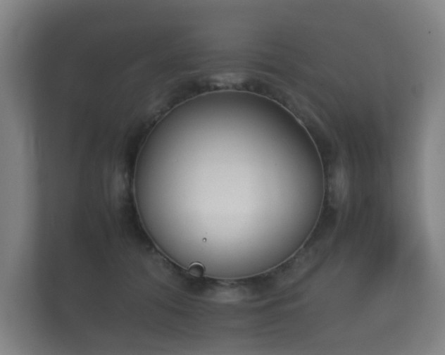 X0000112170608200908141307