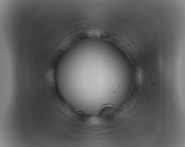 X0000112170616200908141307