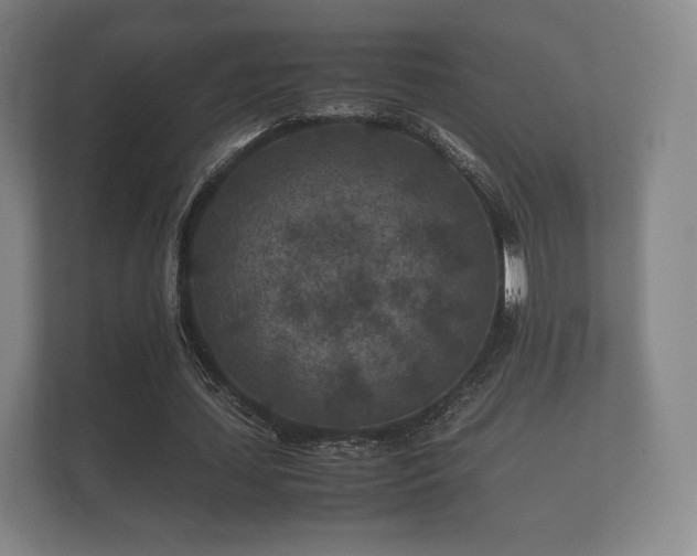 X0000112170627200908141306